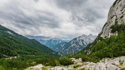 Vrsic mountain pass and a view of the mountains, green areas and sheep.