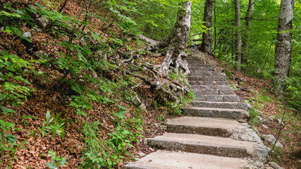 Path leading to Savica waterfall, Slovenia.