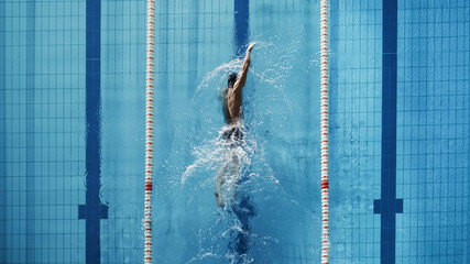 Aerial Top View Male Swimmer Swimming in Swimming Pool. Professional Athlete Training for the Championship, using Front Crawl, Freestyle Technique. Top View Shot - obrazy, fototapety, plakaty