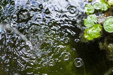Air bubbles on the water surface in the fish pond from filling with clean water. Rinse the water in...