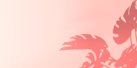 Shadow background of monstera leaves - 3D render © Tierney