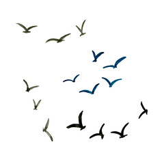 Cloud, Bird, sun, moon, watercolor drawing, Landscape elements Stars and planets Watercolor hand-drawn illustration isolated on a white background.