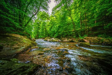 Obraz premium The Schwarza, a tributary of the Saale in Thuringia, Germany, rises in the Thuringian Forest and flows through picturesque towns such as Schwarzburg and Bad Blankenburg.