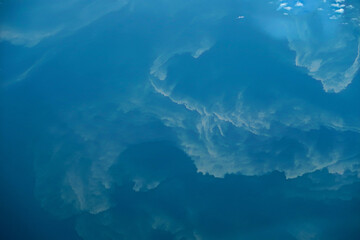 Colors of the North Sea