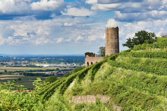 German castle ruin and restaurant called Strahlenburg in Odenwald forest in Schriesheim city