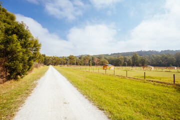 Lilydale to Warburton Rail Trail in Australia