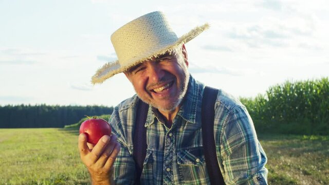 Smiling farmer holding ripe red tomato. Harvest season concept. Man showing vegetable from garden beds, crops, posing in field plantation background. Countryside life and gardening