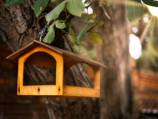 Bird feeder in the yard