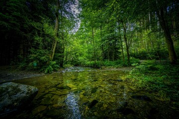 The Ziemestal Bridge is an impressive example of German engineering from the late 19th century. This 115-meter-long and 32-meter-high steel viaduct was built between 1893 and 1895