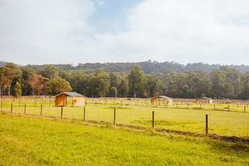 Naklejka premium Lilydale to Warburton Rail Trail in Australia