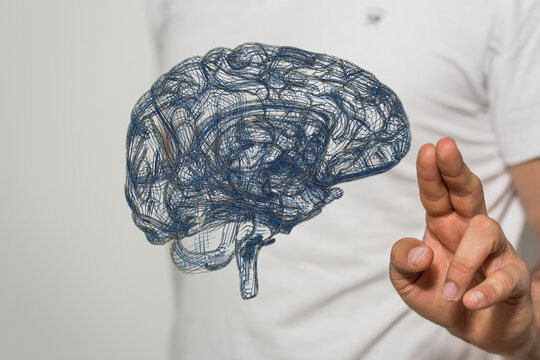 Brain. Low poly abstract digital human brain. Neural network. IQ testing
