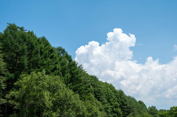 夏の空