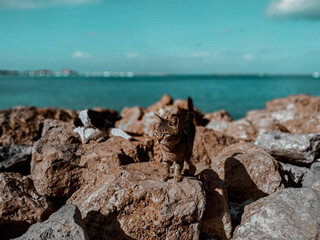Obraz premium rocks and sea