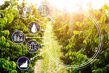 Smart Farming Digital Technology Agriculture