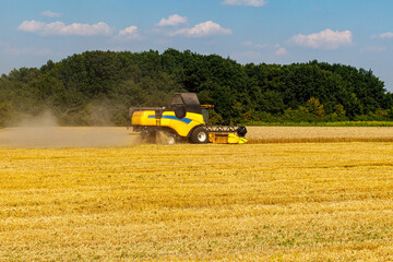 Harvesting wheat. Yellow combine harvester.