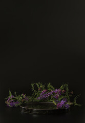 Black podium on the black background with flowers. Podium for product, cosmetic presentation....