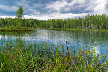 Fototapeta na wymiar Forest on the shore of the lake. Reflection of the sky and forest in the water.