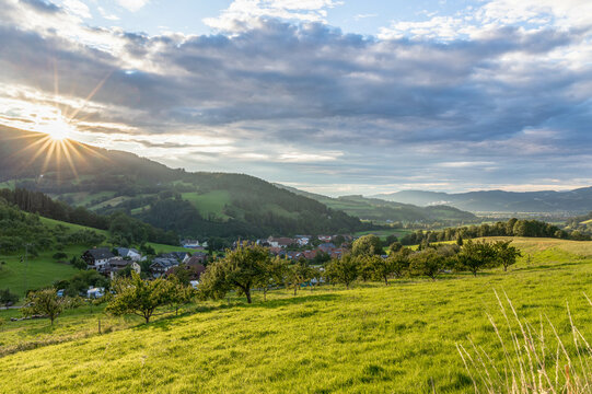Oberried Kirchzarten Schwarzwald Black Forest
