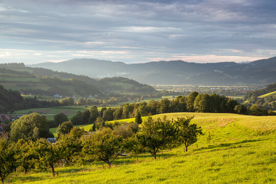 Oberried Kirchzarten Schwarzwald Black Forest
