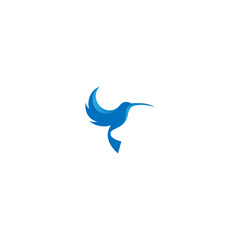 hummingbird design. logo template
