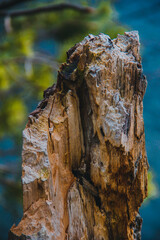 rocks in the sea,rock in the sea