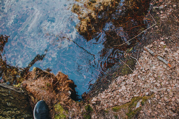 moss on the stone,moss on the rocks