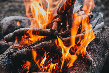 fire in the forest,fire in the fireplace