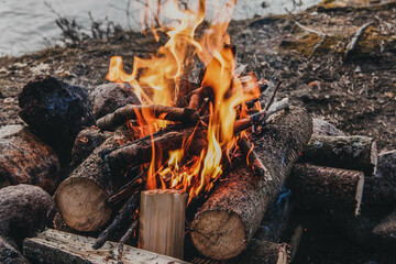 fire in the fireplace , fire in the forest