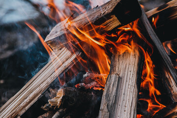 fire in the forest,burning wood burning 