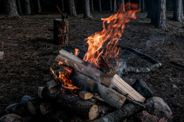 fire in the fireplace,fire burning in a fireplace