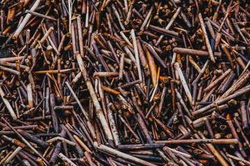 close up of background