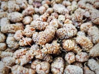 Mulberry fruit. Dried mulberry.