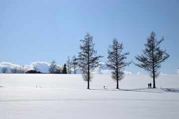 겨울 풍경 그리고 나무