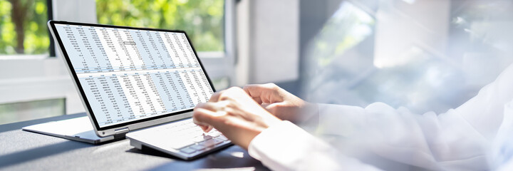 Woman Working With Electronic Spreadsheet Reports