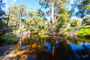 Yarra River View in Millgrove Australia