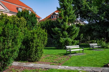 Green city park, leisure bench in spring and summer
