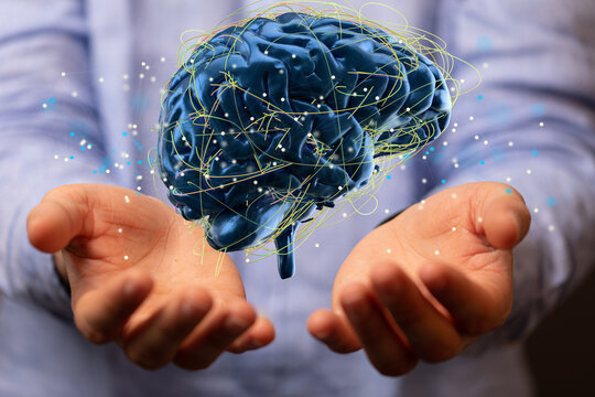 Creative background, the human brain on a blue background, the hemisphere