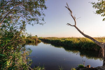 Natural landscape of wetlands, with beautiful reflections in the water, on a sunny morning. 