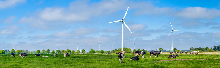 Kühe auf Wiese vor Windpark