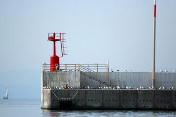 Tanti gabbiani appollaiati sul molo del porto di Catania con il faro rosso sullo sfondo