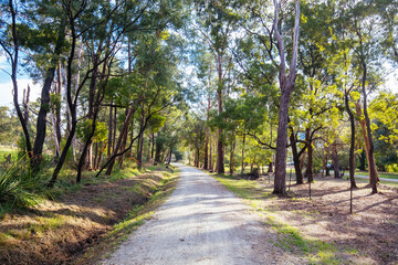 Lilydale to Warburton Rail Trail in Australia