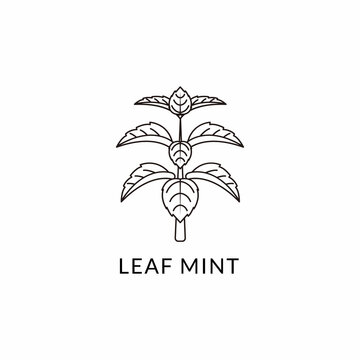 Logo Outline Shape Organic Mint Peppermint Healthy Menthol Nature Template