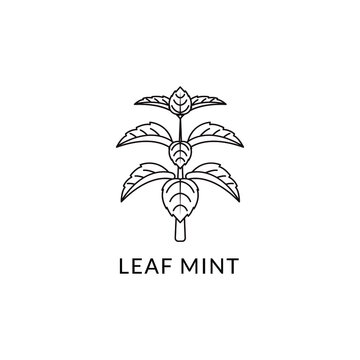 Logo Outline Shape Organic Mint Peppermint Healthy Menthol Nature Template