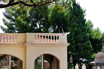 A seagull on the roof of a building with a portico.