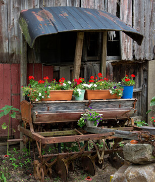 Old seed-planting equipment used as platform for flower containers on farm in western Virginia.