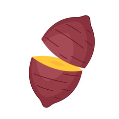 Sweet Potato vector.  Sweet Potato on white background.