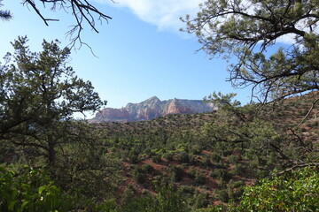 The picturesque scenery of the wilderness areas that surround the scenic desert town of Sedona,...