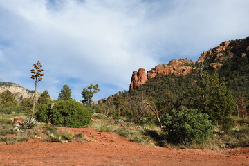 The picturesque scenery of the wilderness areas that surround the scenic desert town of Sedona, Arizona.