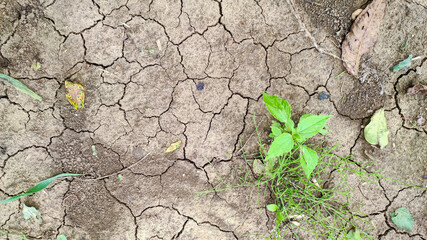 The cracked ground, the drought - background. Brown dry soil or cracked ground texture background. Dry and cracked land, dry due to lack of rain concept