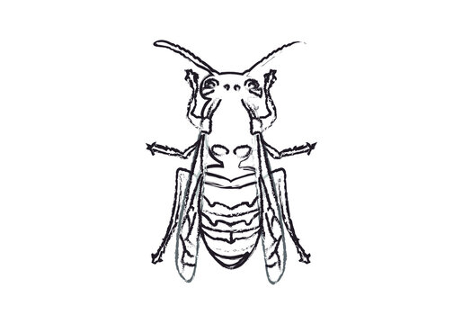 Icono negro de avispa en fondo blanco.